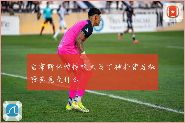 吉布斯怀特惊叹大马丁神扑背后秘密究竟是什么