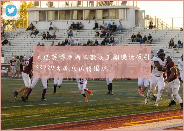 大连英博与浙江激战正酣现场吸引58229名观众热情围观