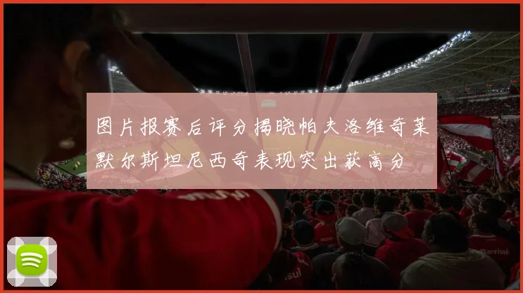 图片报赛后评分揭晓帕夫洛维奇莱默尔斯坦尼西奇表现突出获高分